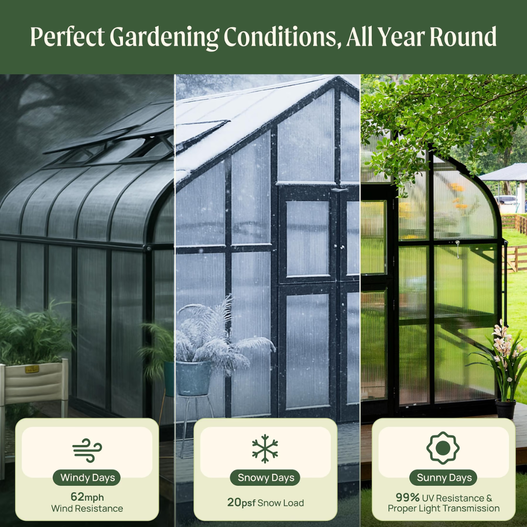 Vego Pacific Greenhouse - 10.5ft Wide