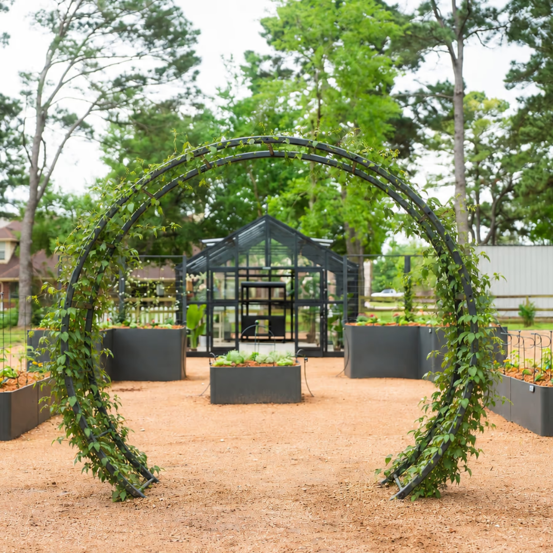 Vego Moon Gate