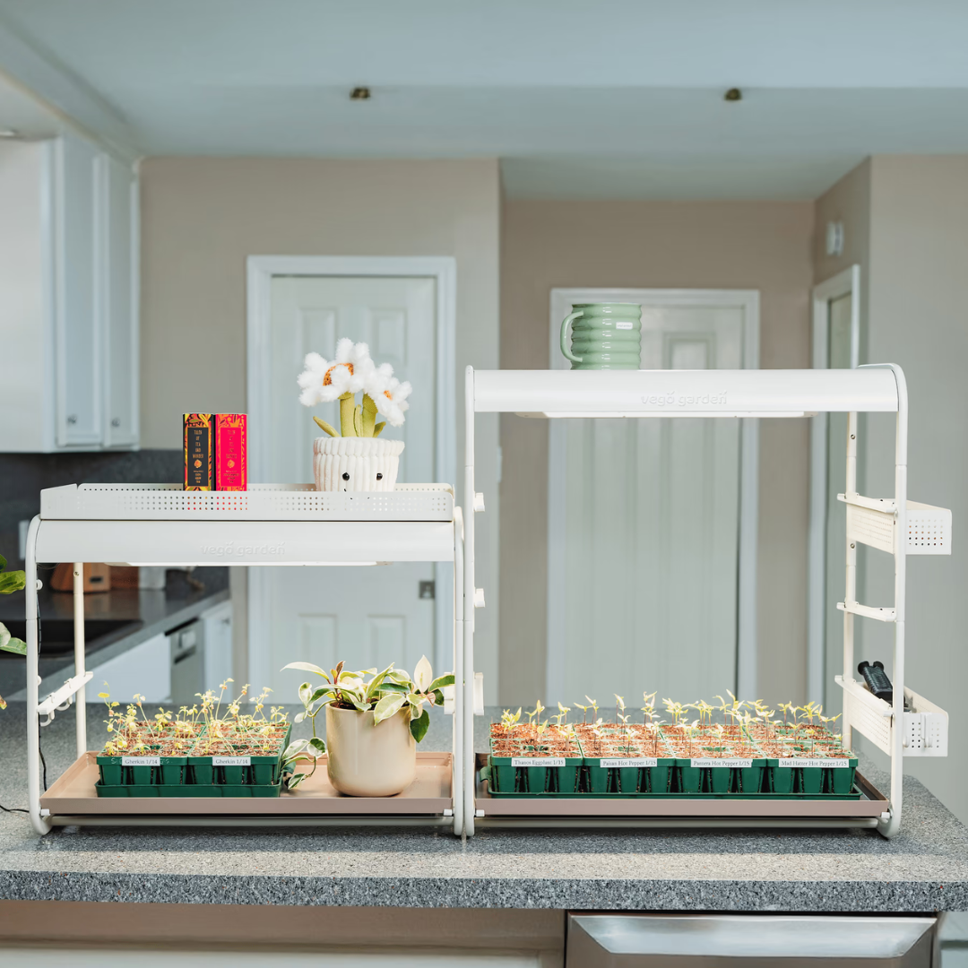 Vego 1 Tier Tabletop Grow Light Garden