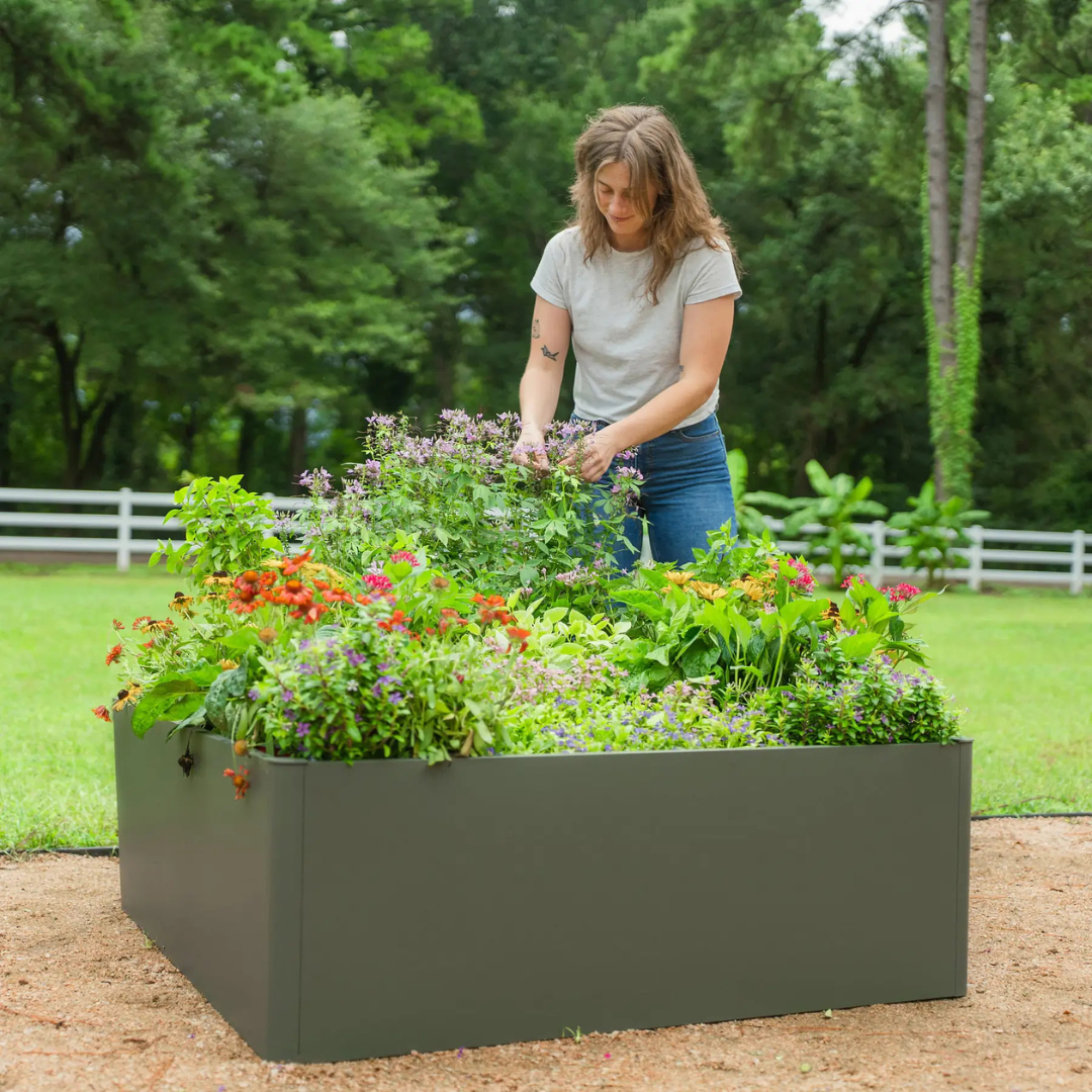 Vego 17" Tall Modern 3' x 6' Metal Raised Garden Bed