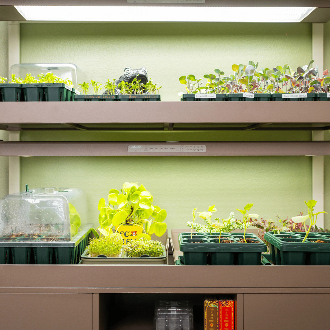 Vego Ultimate Grow Light Garden