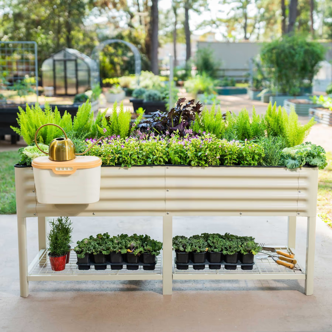 Vego Elevated Garden Bed - 2' x 6'