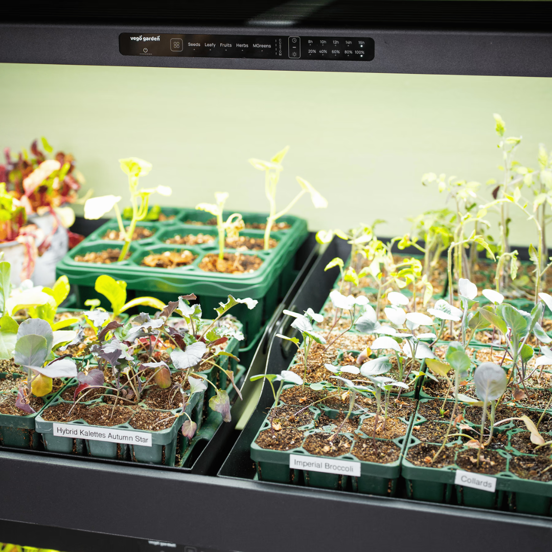 Vego Ultimate Grow Light Garden
