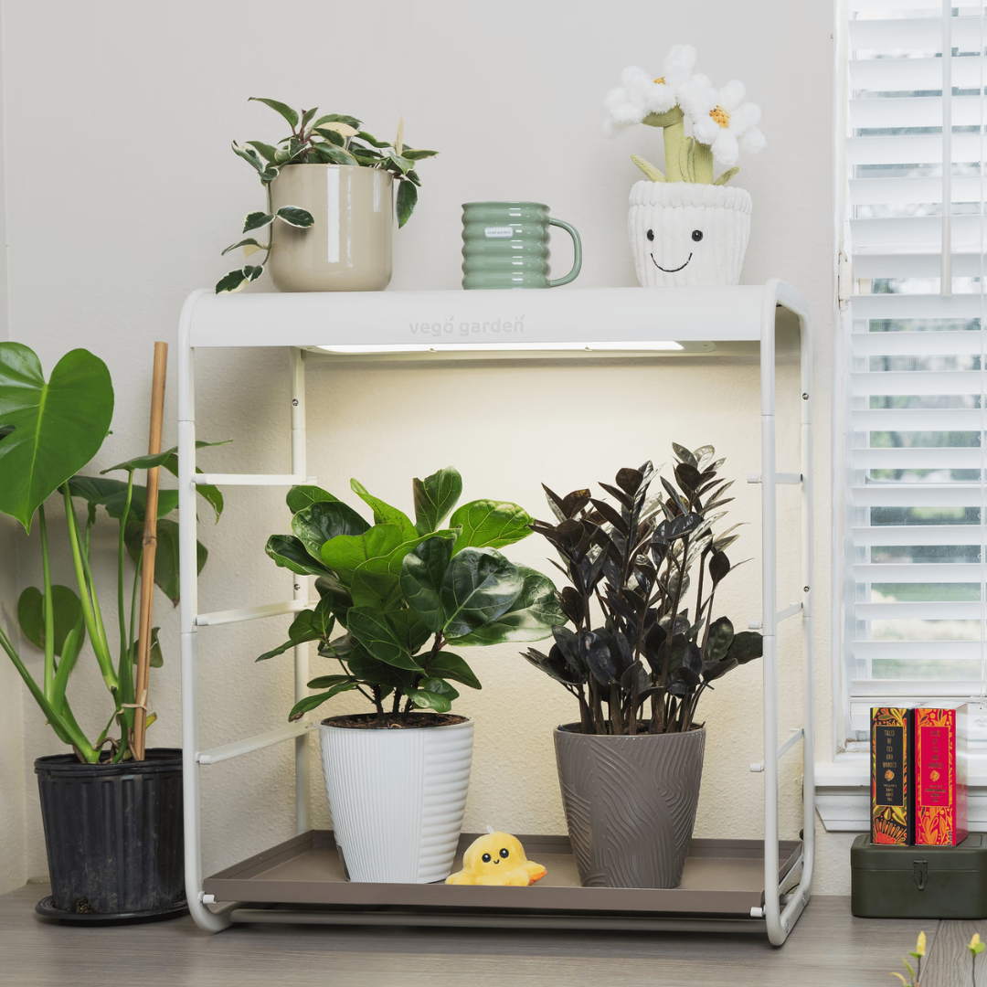 Vego 1 Tier Tabletop Grow Light Garden