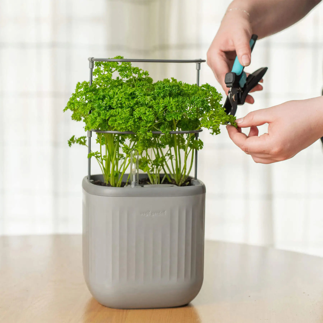 Vego EZ Self-Watering Mini Planter Pot with Trellis