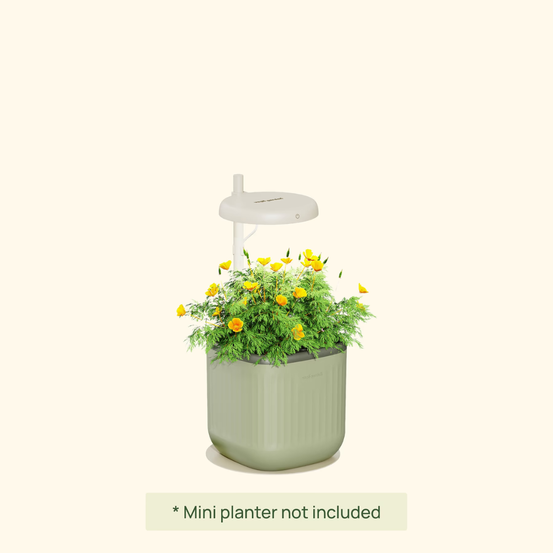 Vego Grow Light Stand - Mini