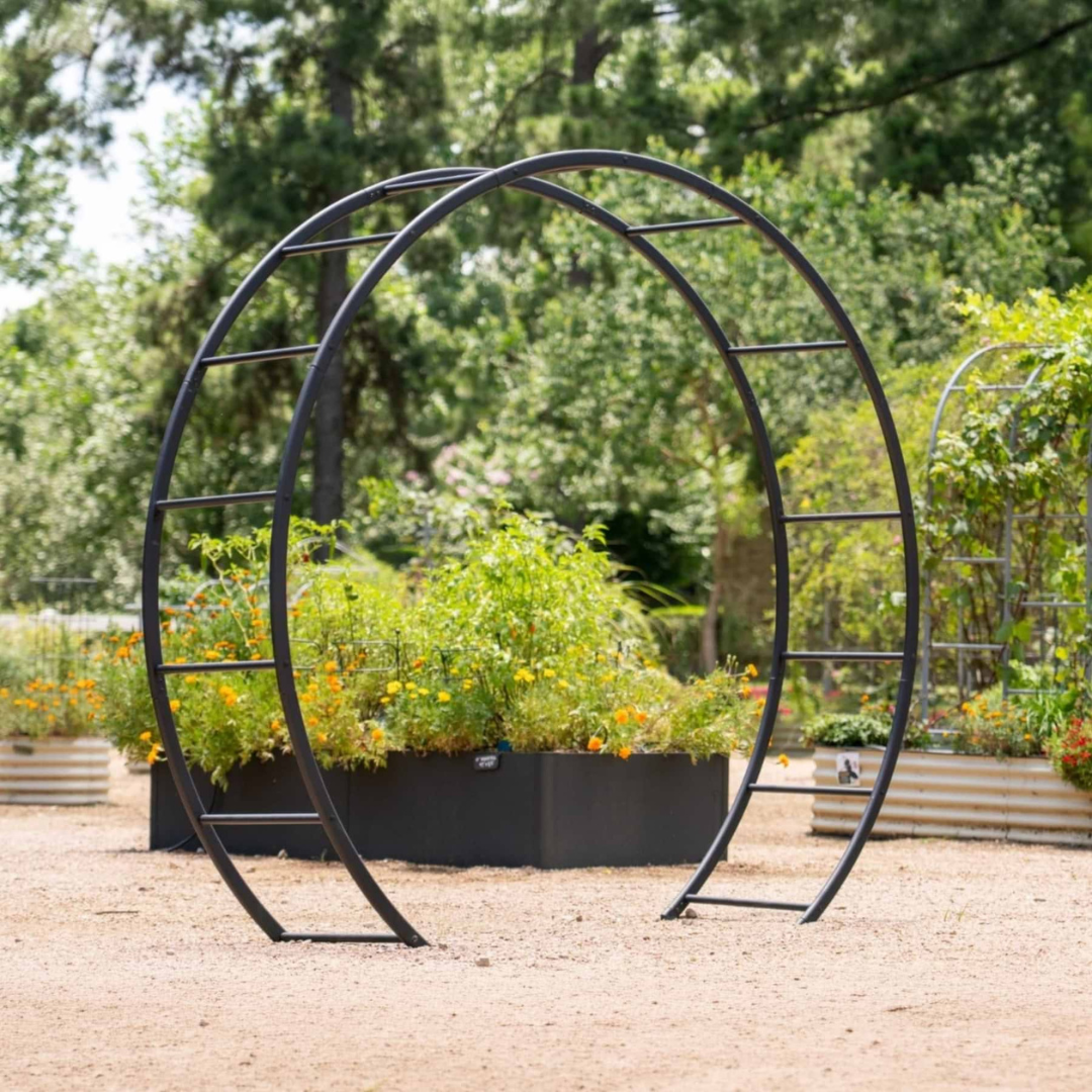 Vego Moon Gate