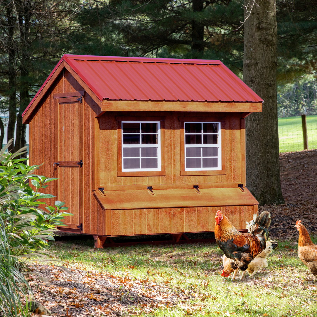 Bird-in-Hand 7×8 Quaker Chicken Coop