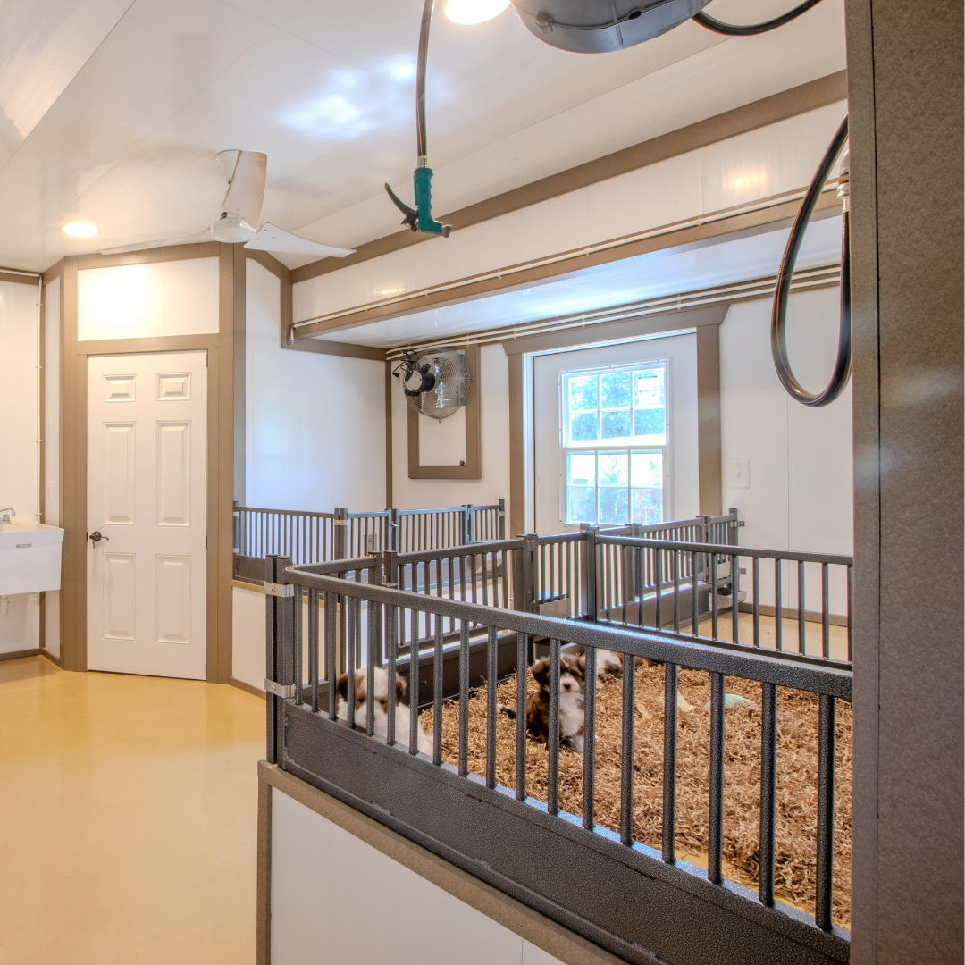 Bird in Hand 23×60 9-Run Dog Commercial Kennel With An Office