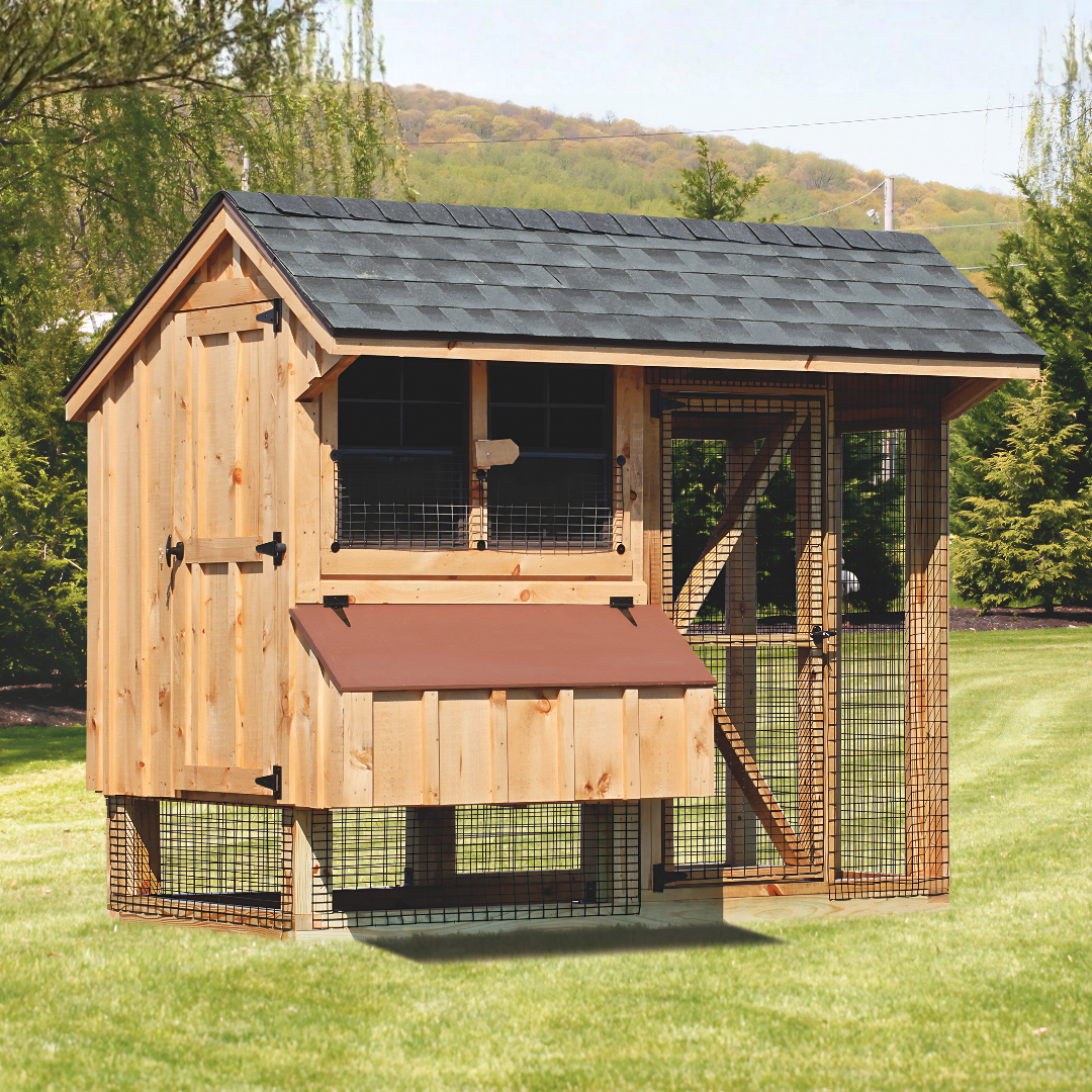 Bird-in-Hand 4×8 Quaker Combination Chicken Coop