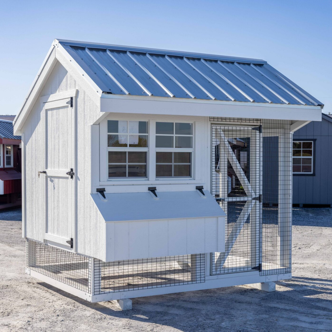 Bird-in-Hand 6×8 Quaker Combination Chicken Coop