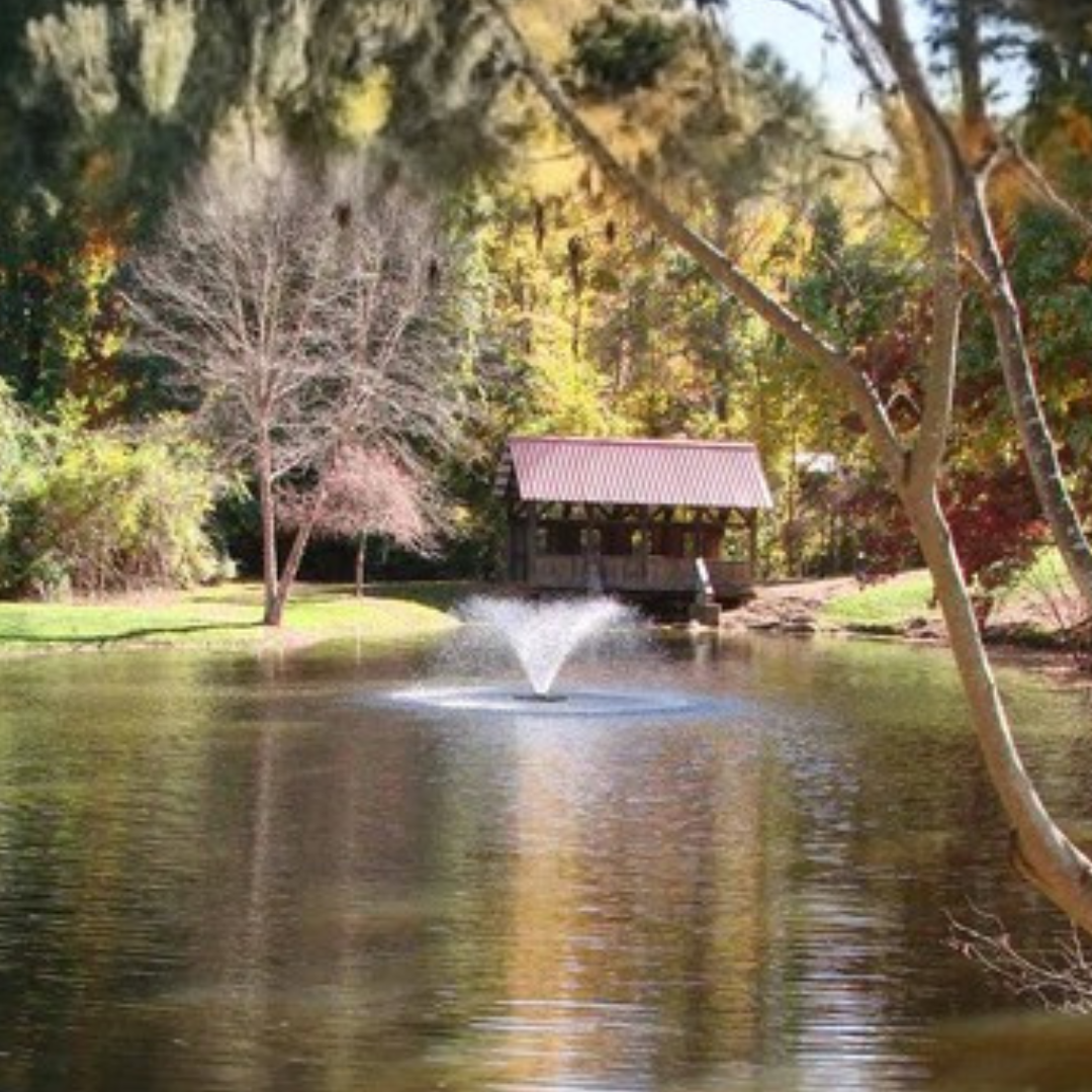 Scott Aerator DA-20 Display Aerator for Small, Residential Ponds ¾ hp 115 volts