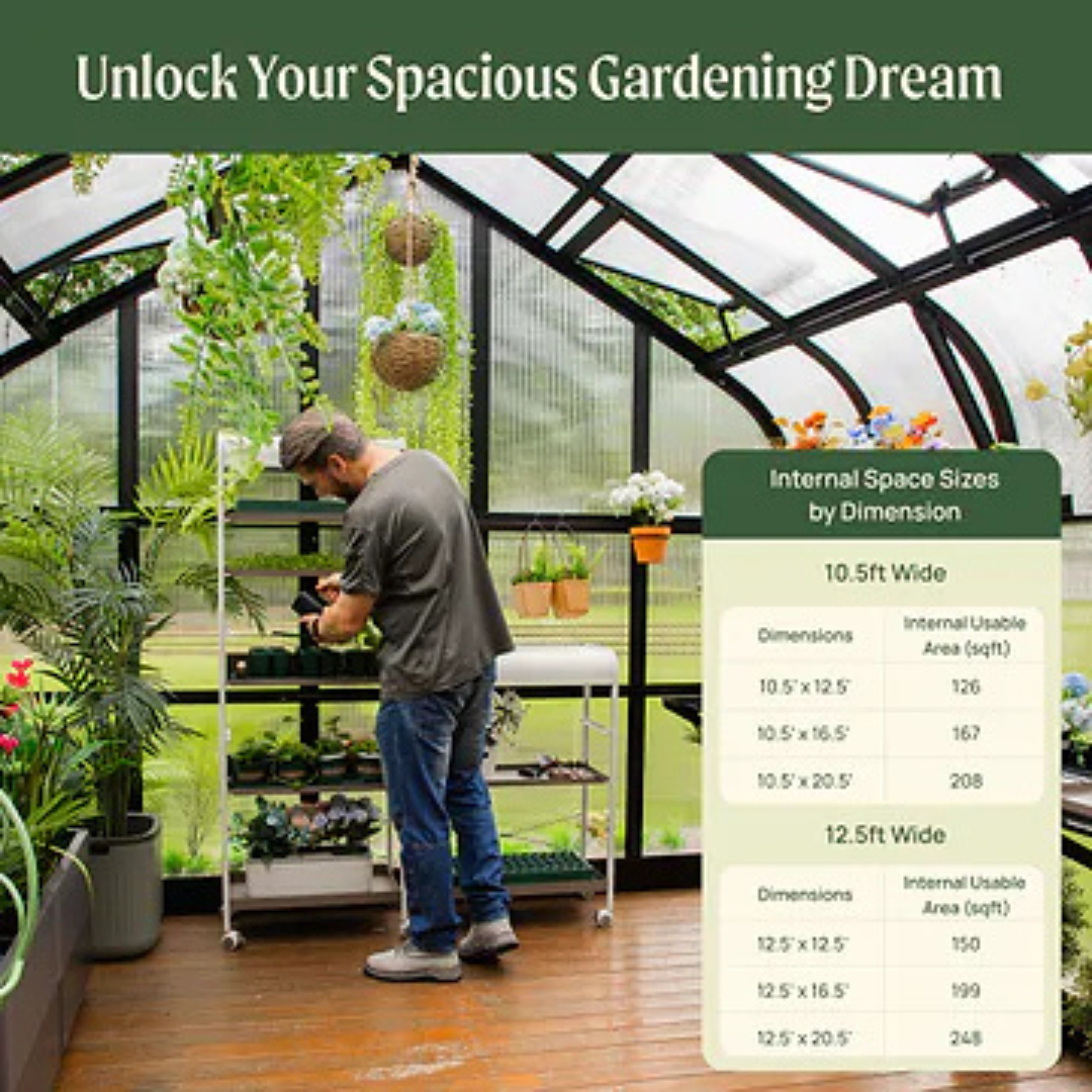 Vego Pacific Greenhouse - 10.5ft Wide