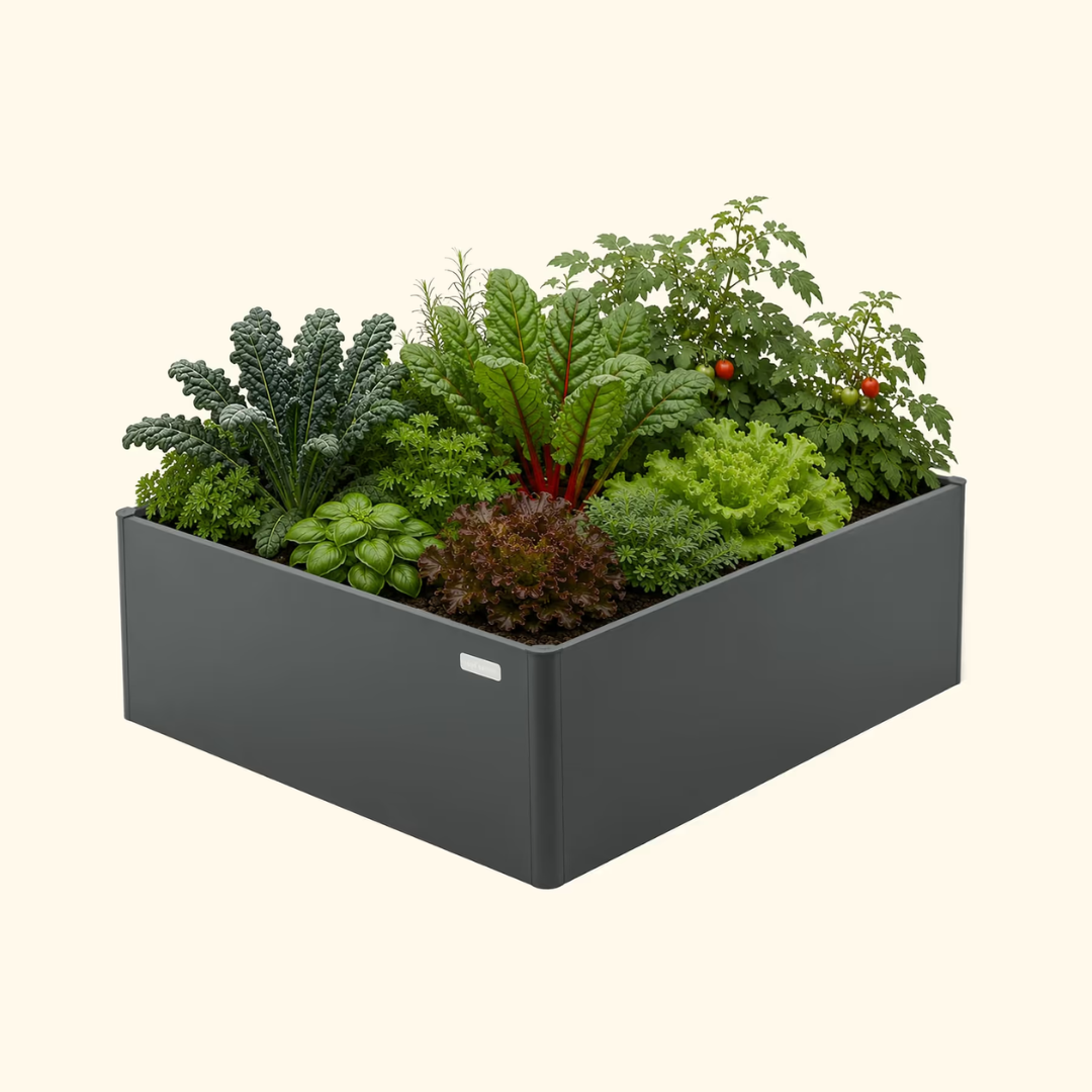 Vego 17" Tall Modern 4' x 4' Metal Raised Garden Bed