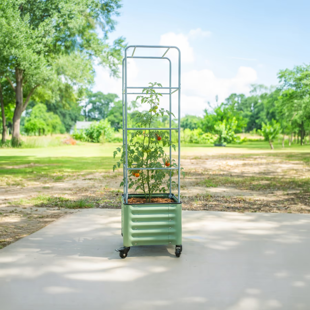 Vego Classic Rolling Cube Tomato Planter