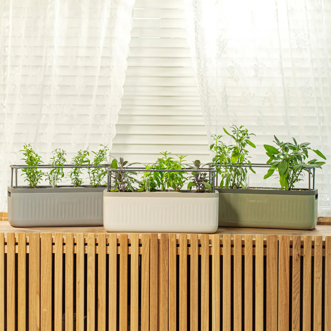 Vego EZ Self-Watering Herb Planter with Trellis Gen 2