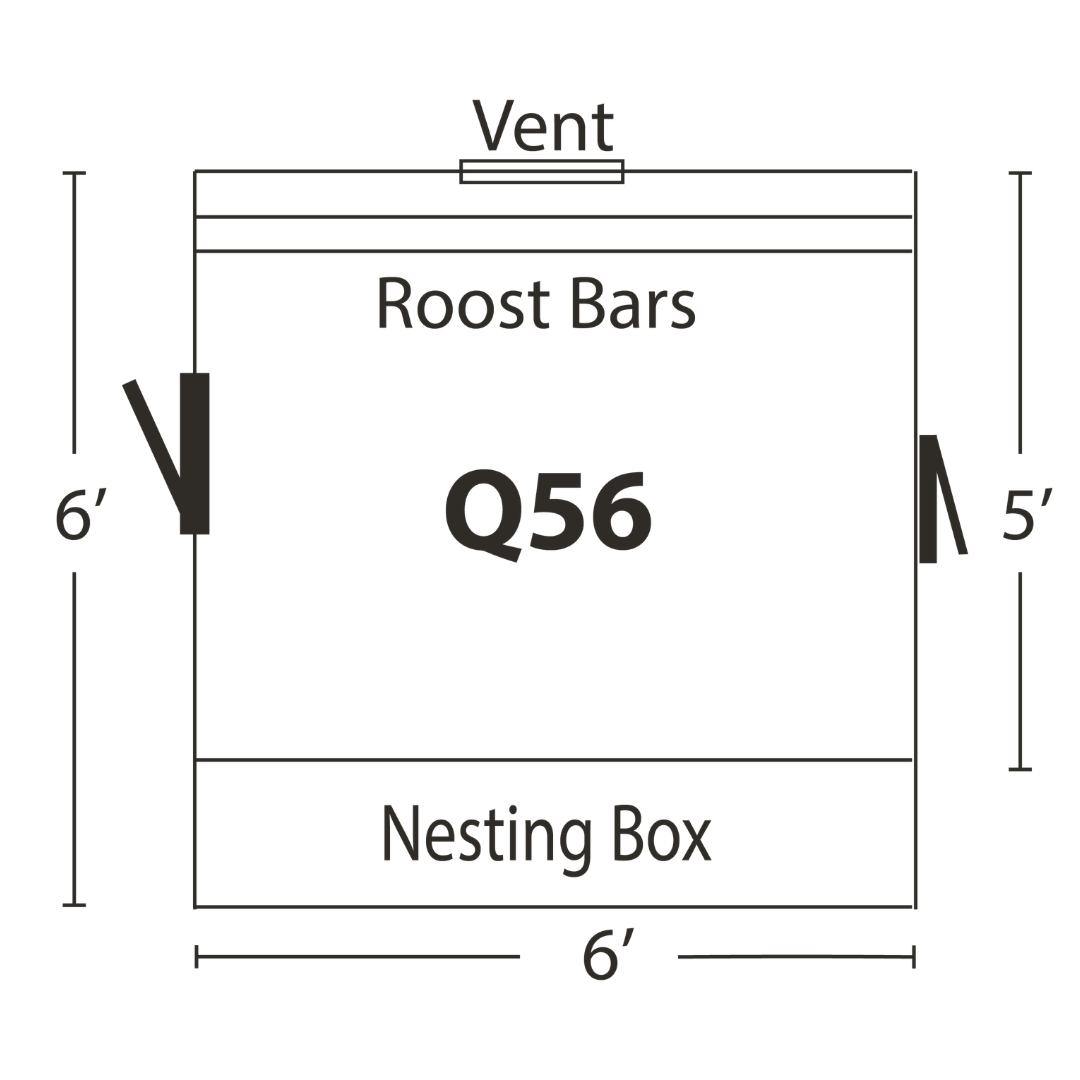 Bird-in-Hand 5×6 Quaker Chicken Coop