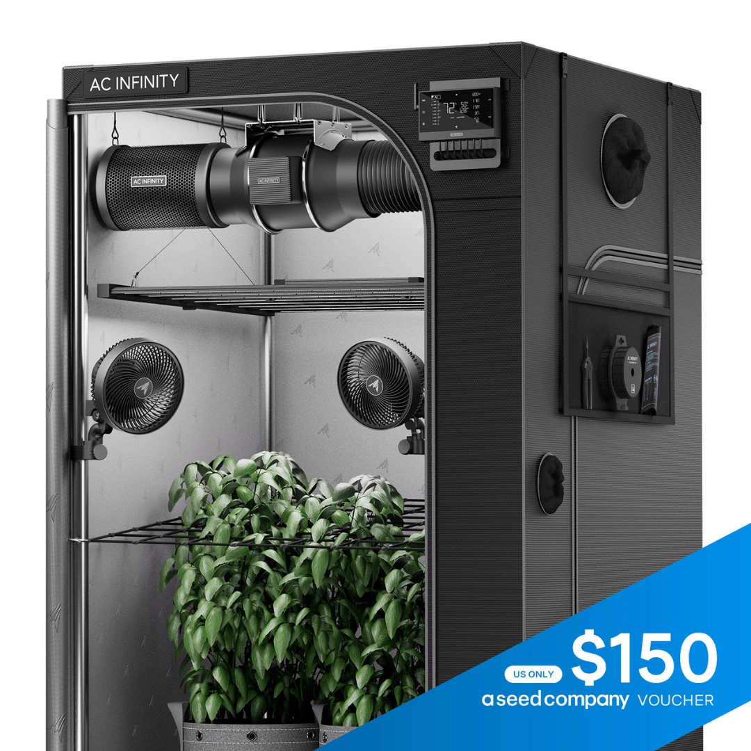 AC Infitnity AI Grow Tent System PRO 4x4, Upgraded Lighting and Air Filtration, 4-Plant Kit
