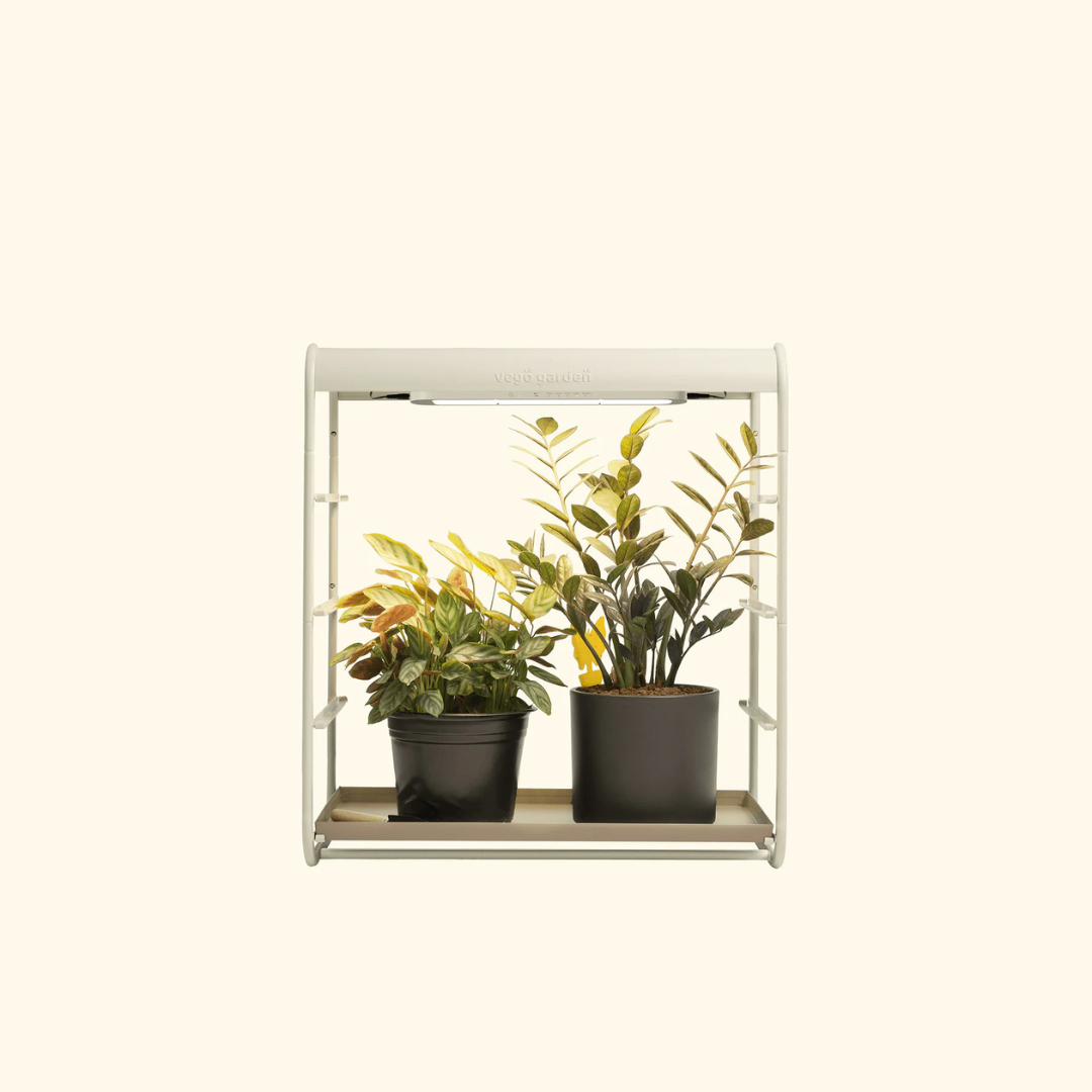 Vego 1 Tier Tabletop Grow Light Garden