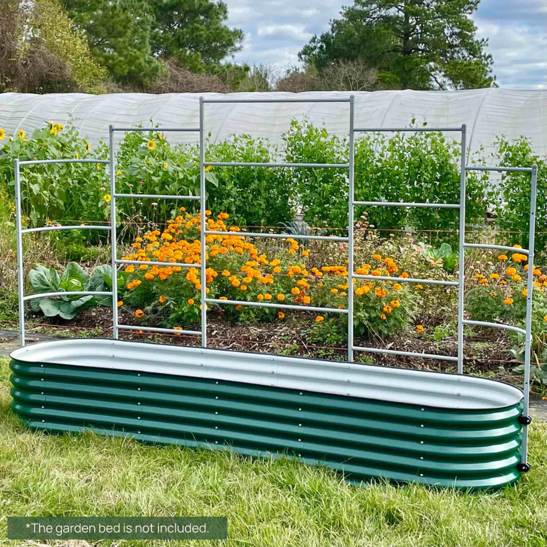 Vego Wall Trellis System
