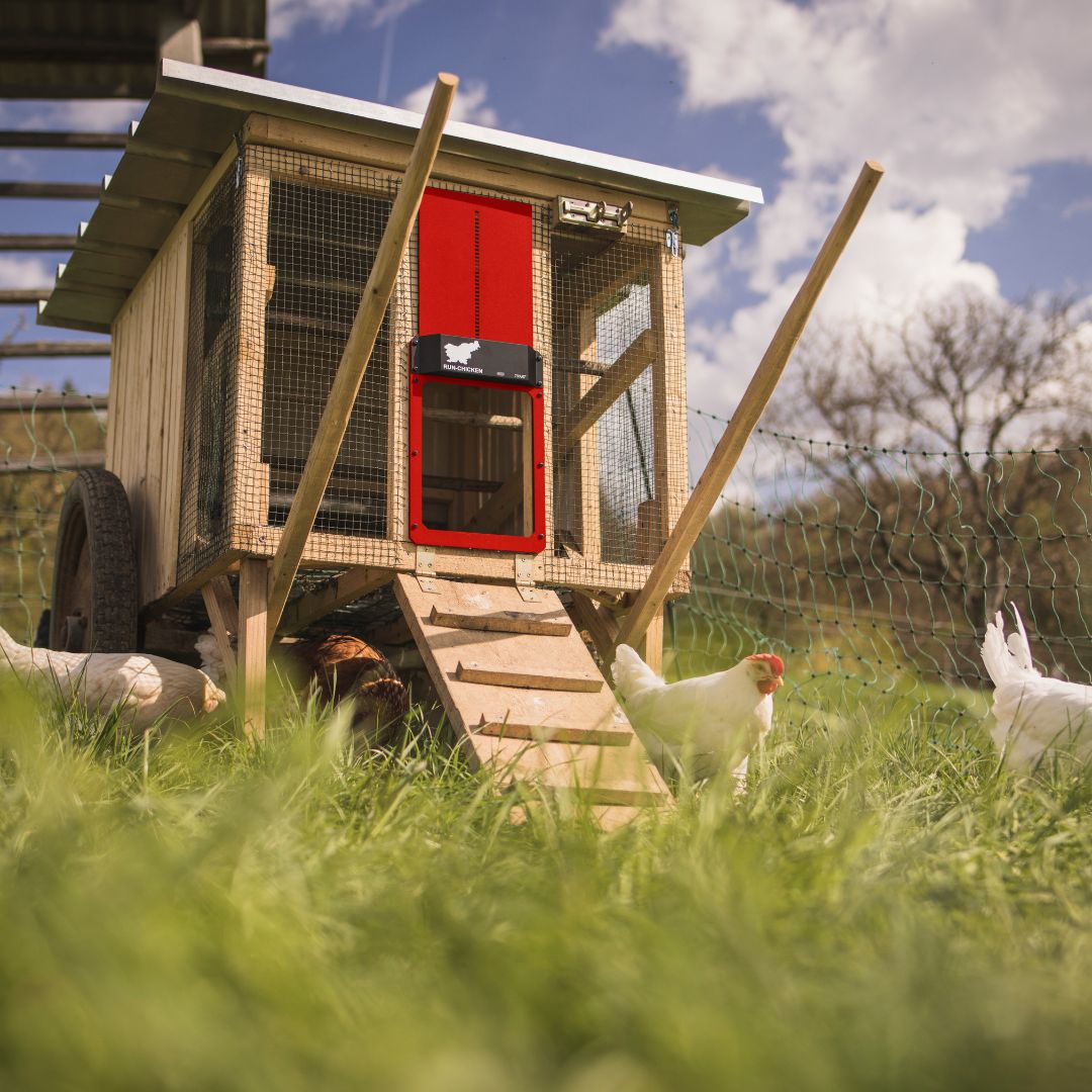RUN-CHICKEN T80 Automatic Coop Door – Red (with Bluetooth)