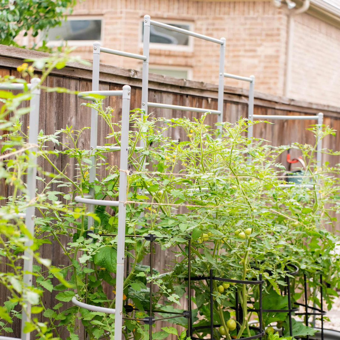 Vego Wall Trellis System