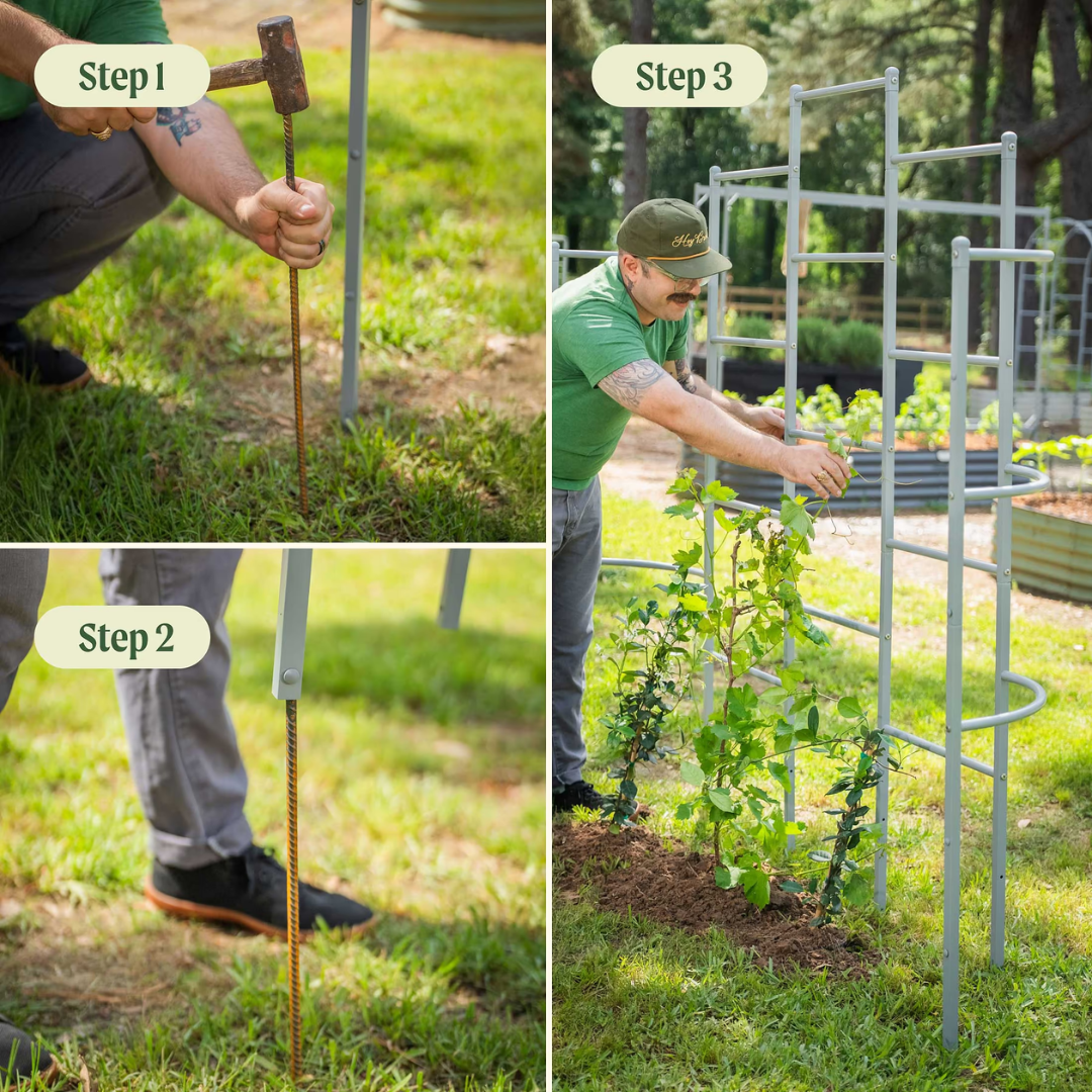 Vego Wall Trellis System