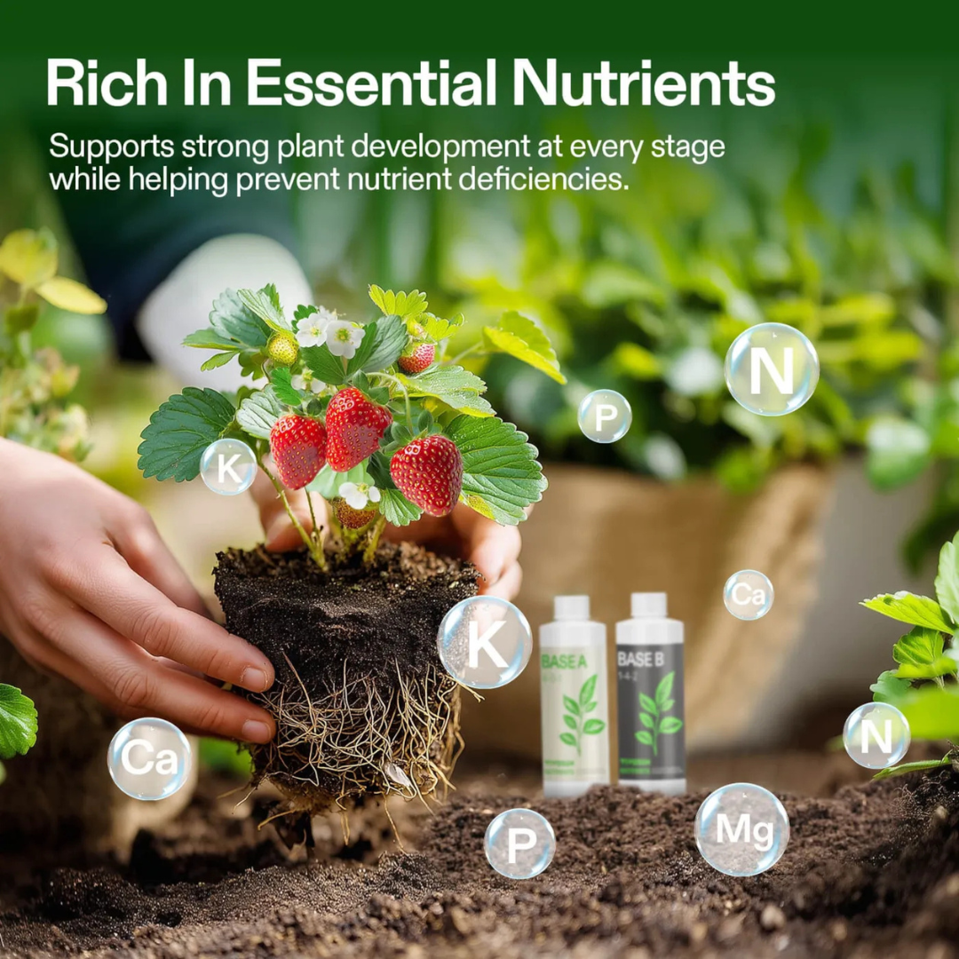 Vivosun Nutrients Base A & B Bundle, Liquid Fertilizer Supports Vegetative and Flowering Stage, 8oz