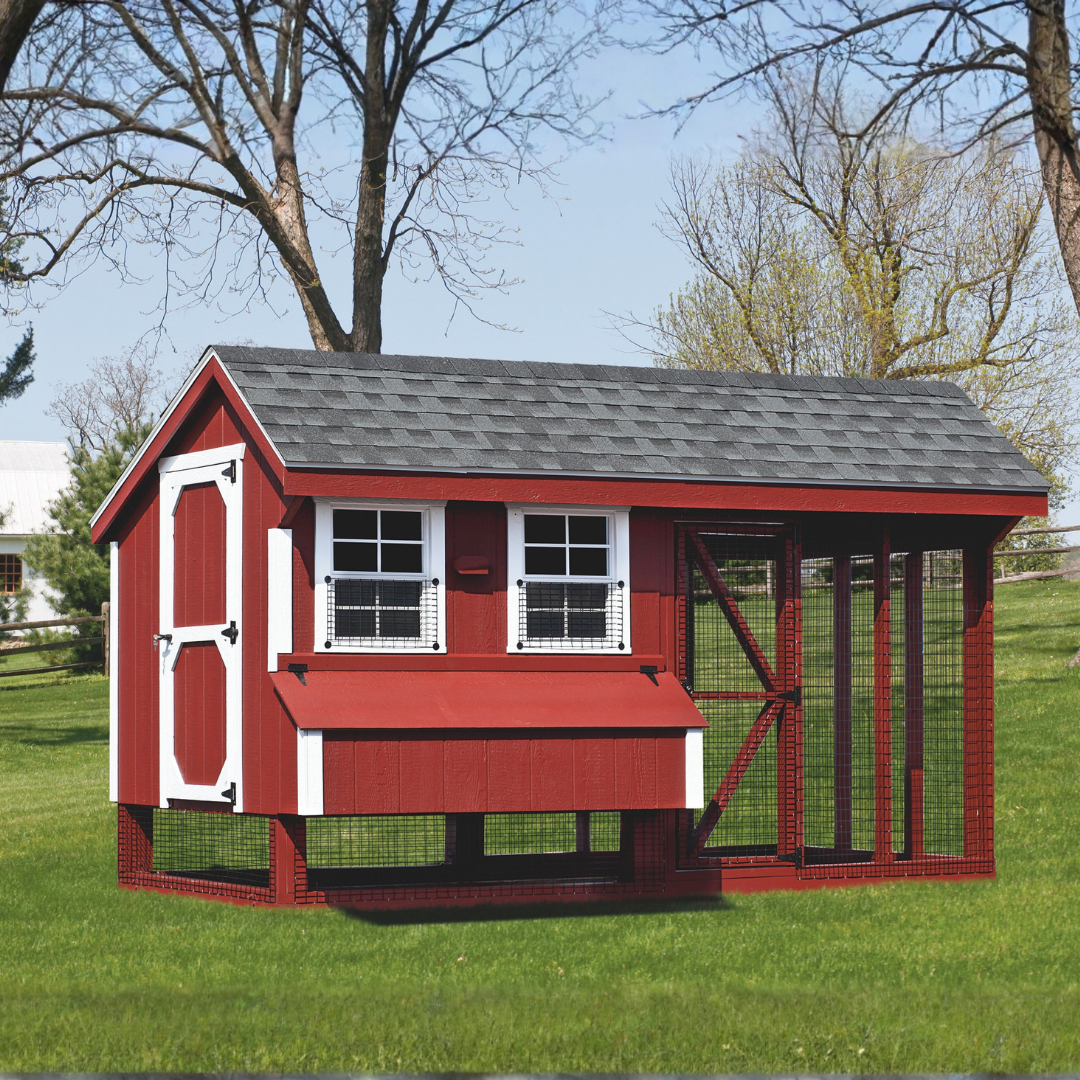 Bird-in-Hand 6×12 Quaker Combination Chicken Coop