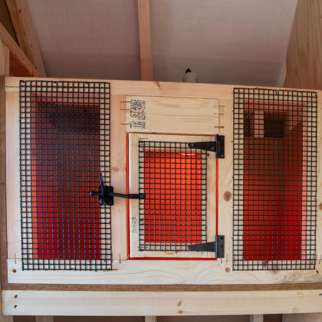 Bird-in-Hand 6×10 A-Frame Chicken Coop