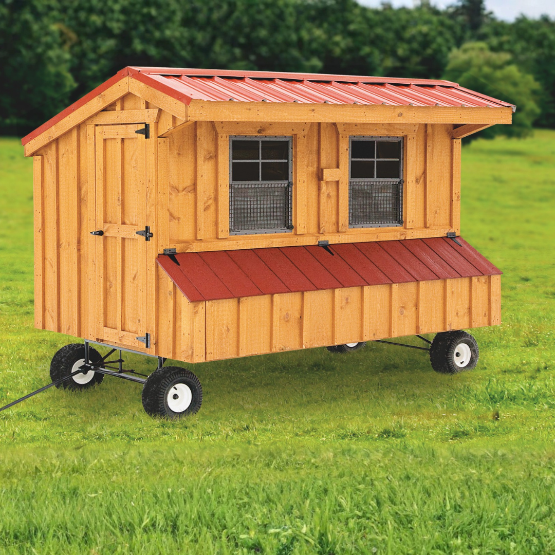 Bird-in-Hand 4×8 Quaker Chicken Coop