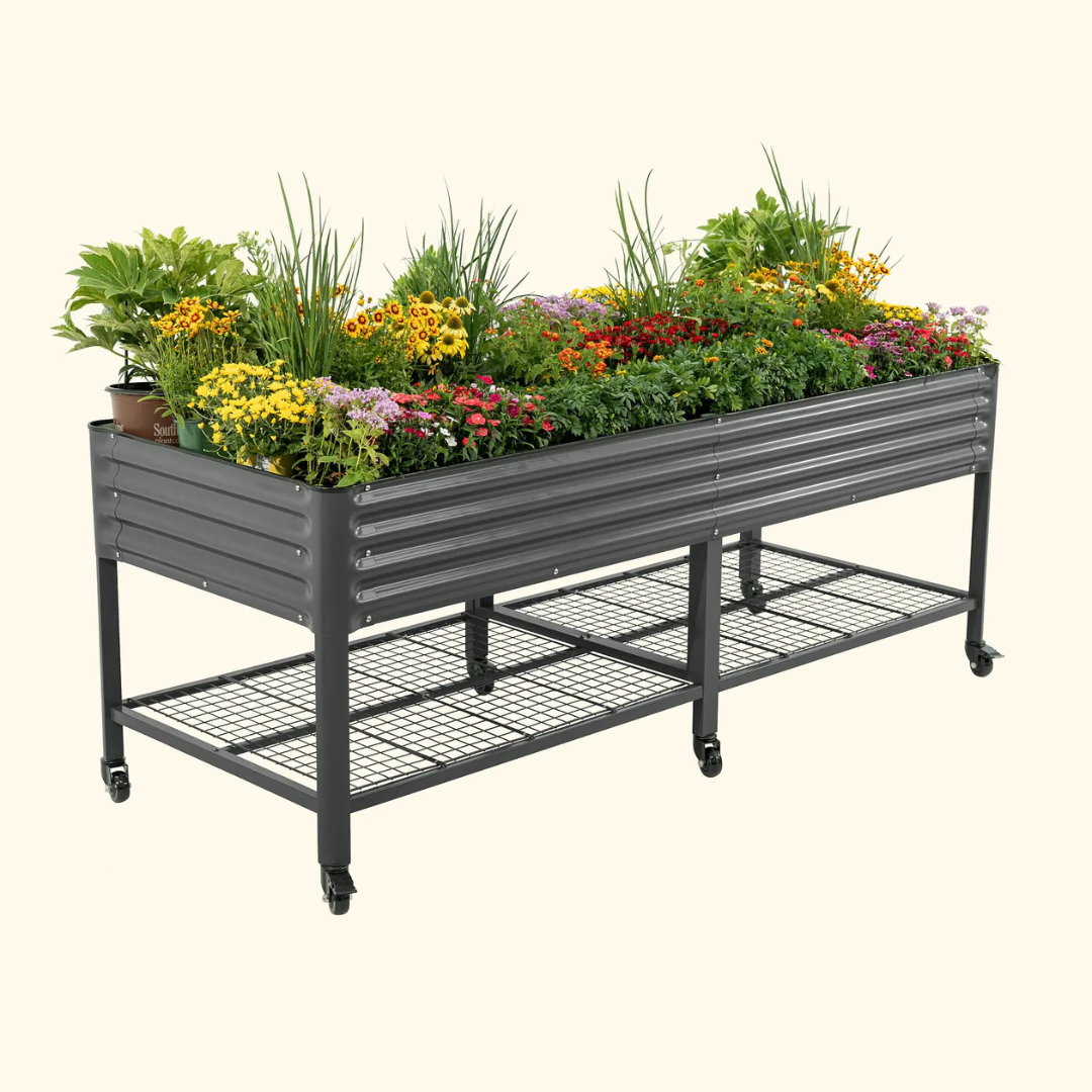 Vego Elevated Garden Bed - Jumbo Series 3' x 8' Wheels Included
