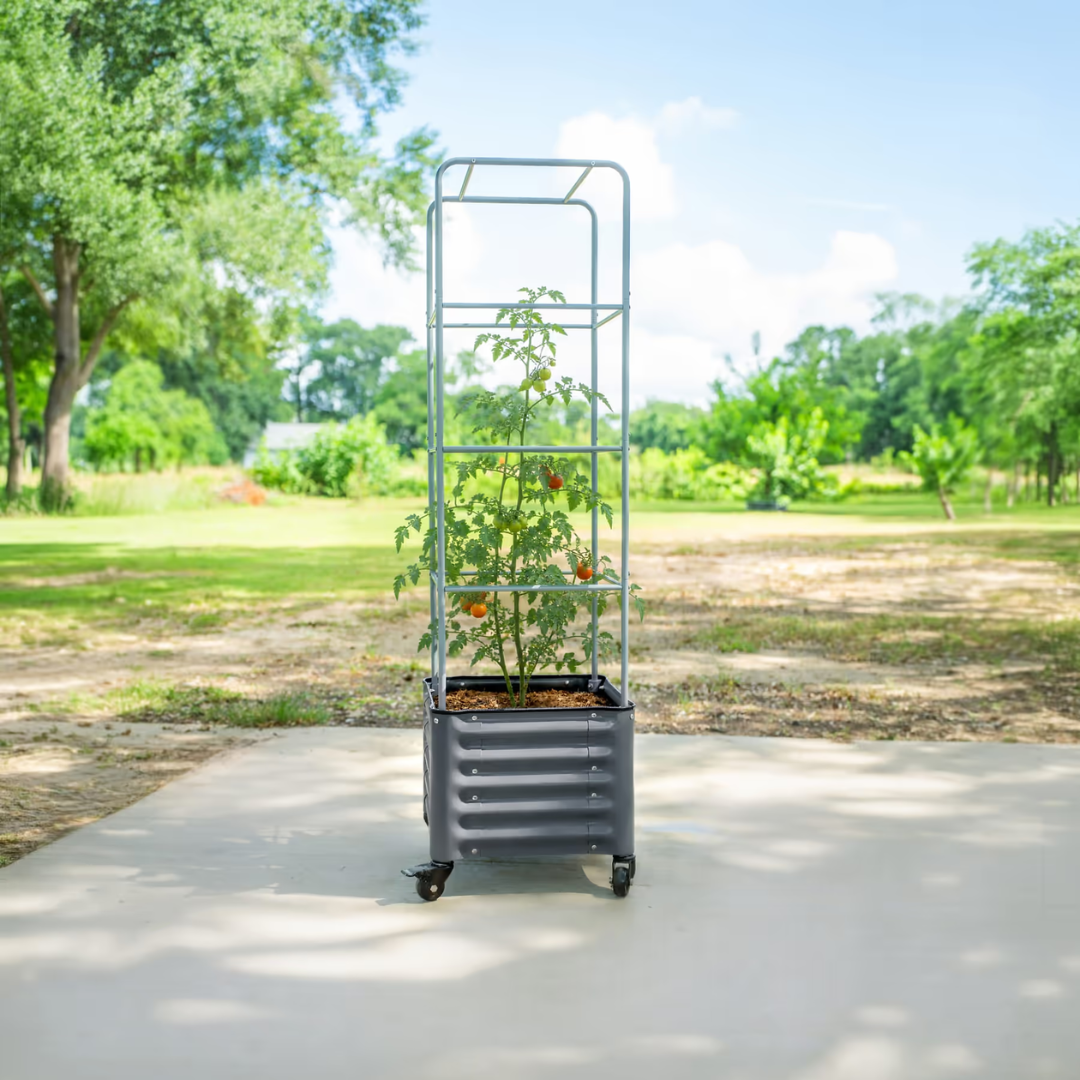 Vego Classic Rolling Cube Tomato Planter