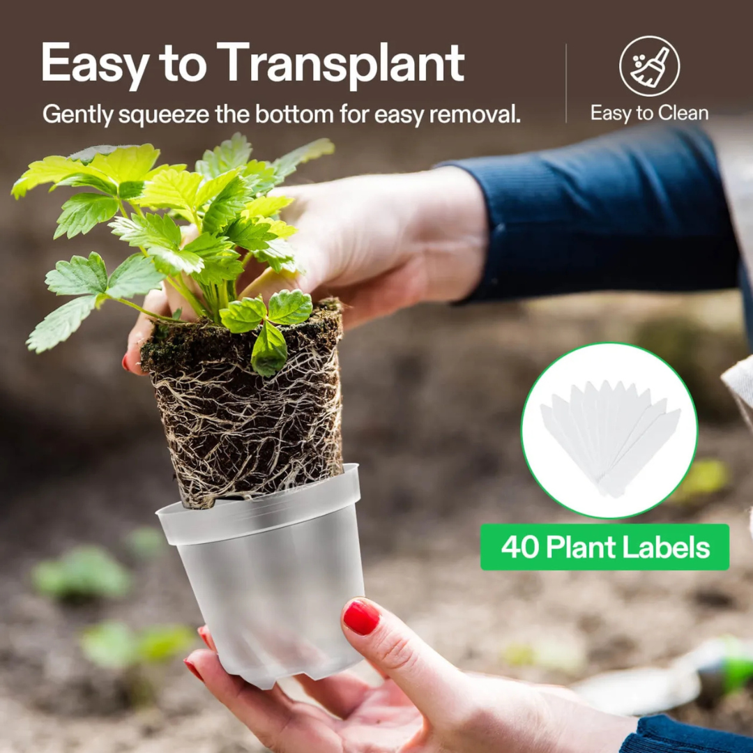 Vivosun 40 Packs 3/4/5/6 Inch Clear Nursery Pots with Drainage Holes