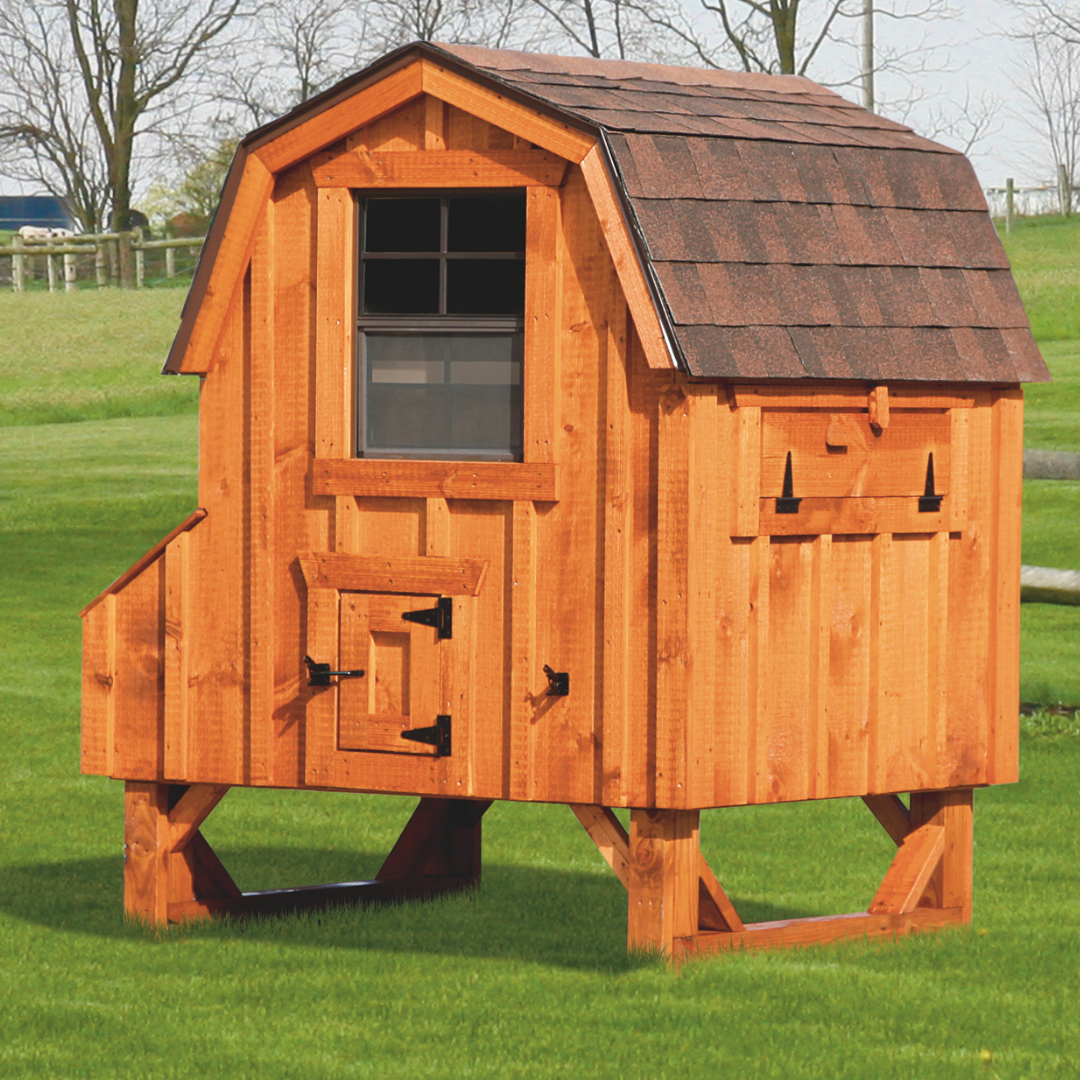 Bird-in-Hand 4×4 Dutch Chicken Coop