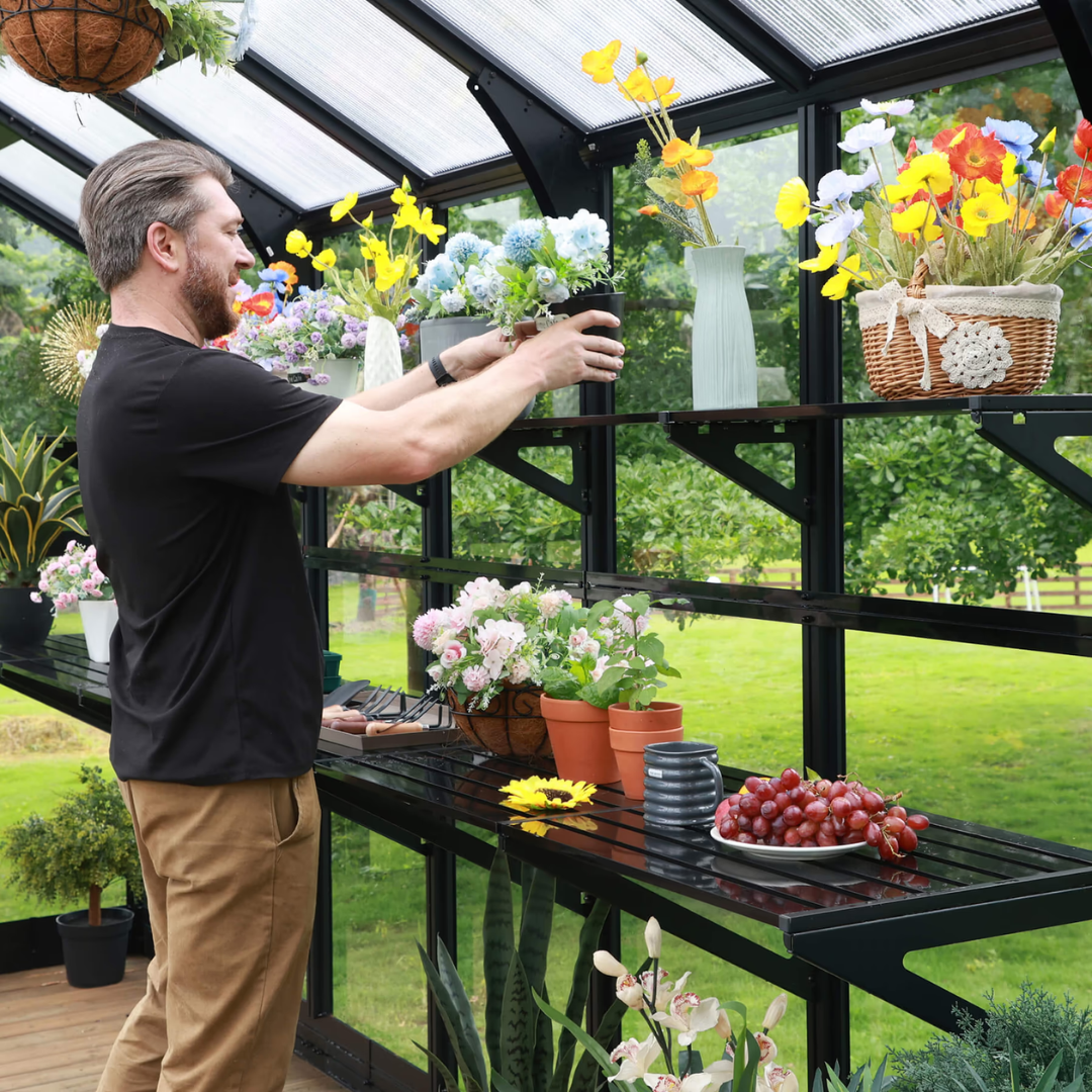 Vego Fixed Top Shelf