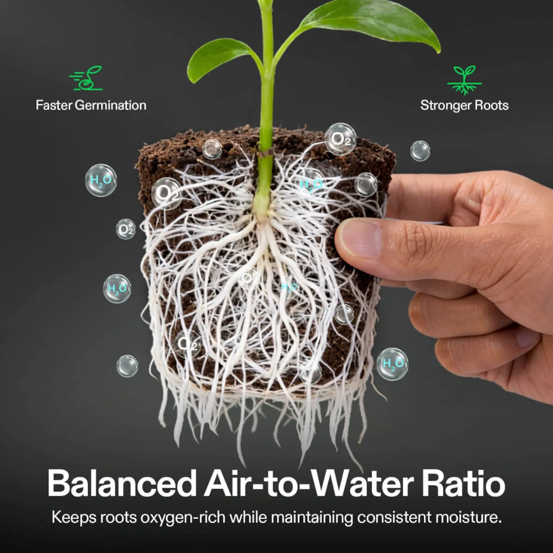 Vivosun FlexFeed DWC Hydroponices System Seed Rooter, 4-Pack Seed Starter Plugs, Compatible with VGrow DWC System