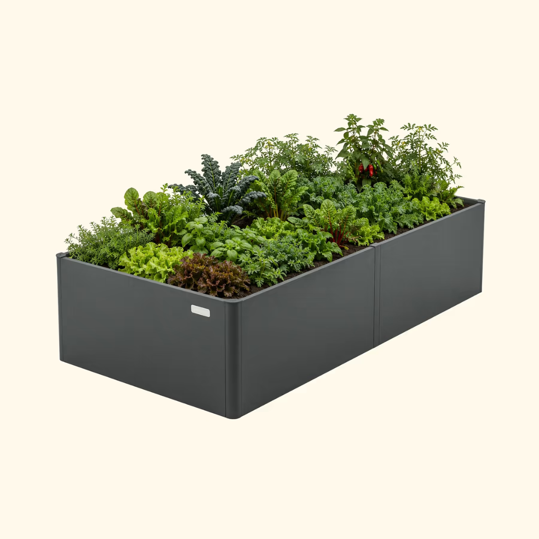 Vego 17" Tall Modern 3' x 6' Metal Raised Garden Bed