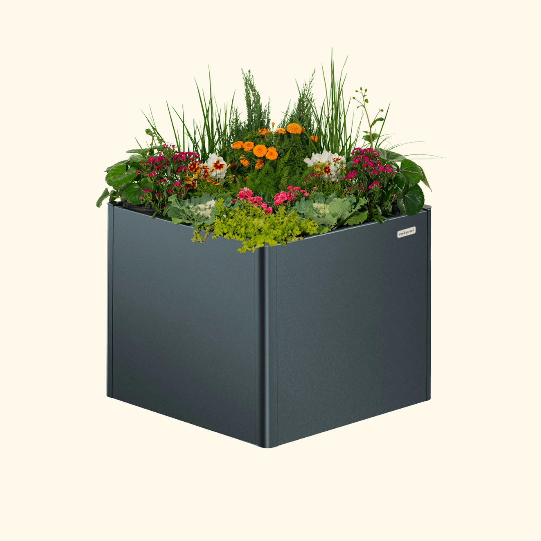 Vego 32" Extra Tall Modern Pro 42" x 42" Metal Raised Garden Bed