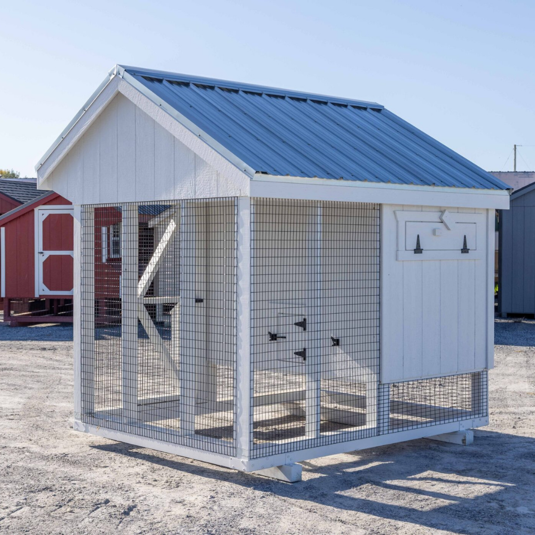 Bird-in-Hand 6×8 Quaker Combination Chicken Coop