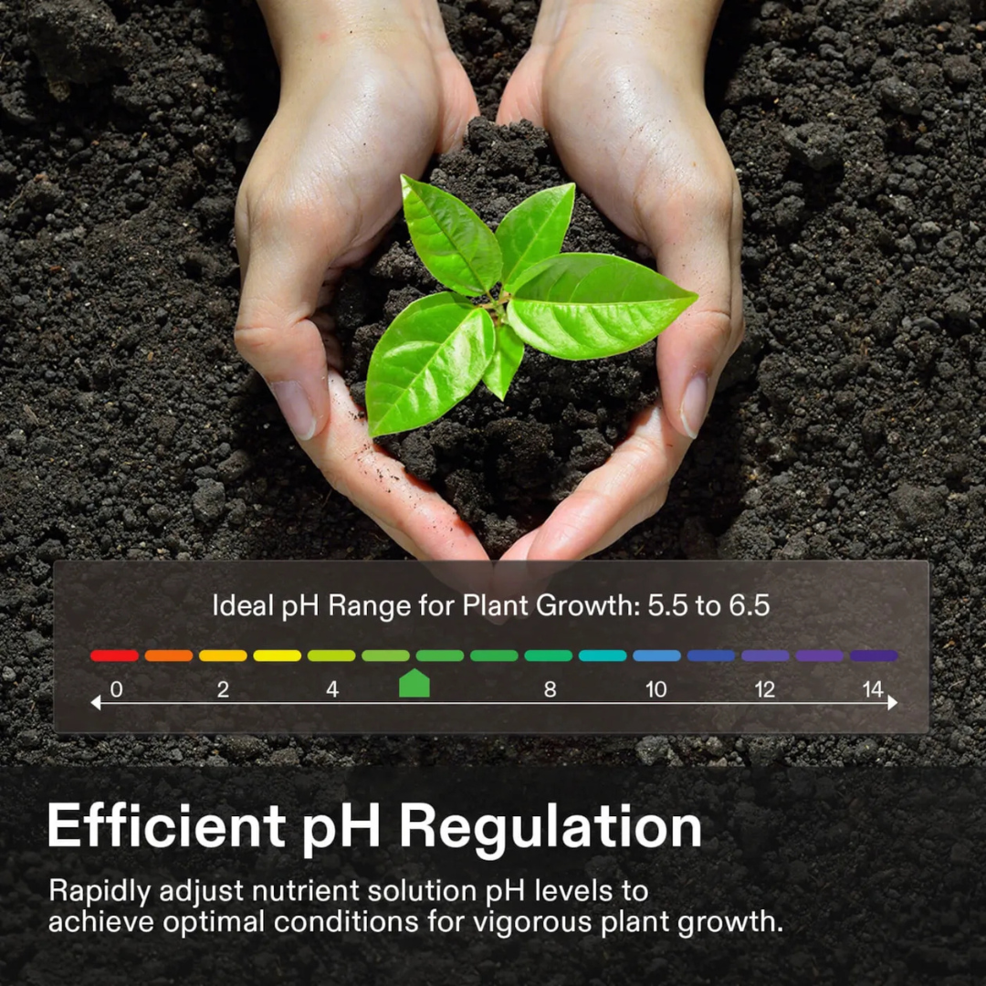 Vivosun pH Up & pH Down Kit, Liquid Fertilizer for All Plants and All Growing Systems, 1 Quart Each