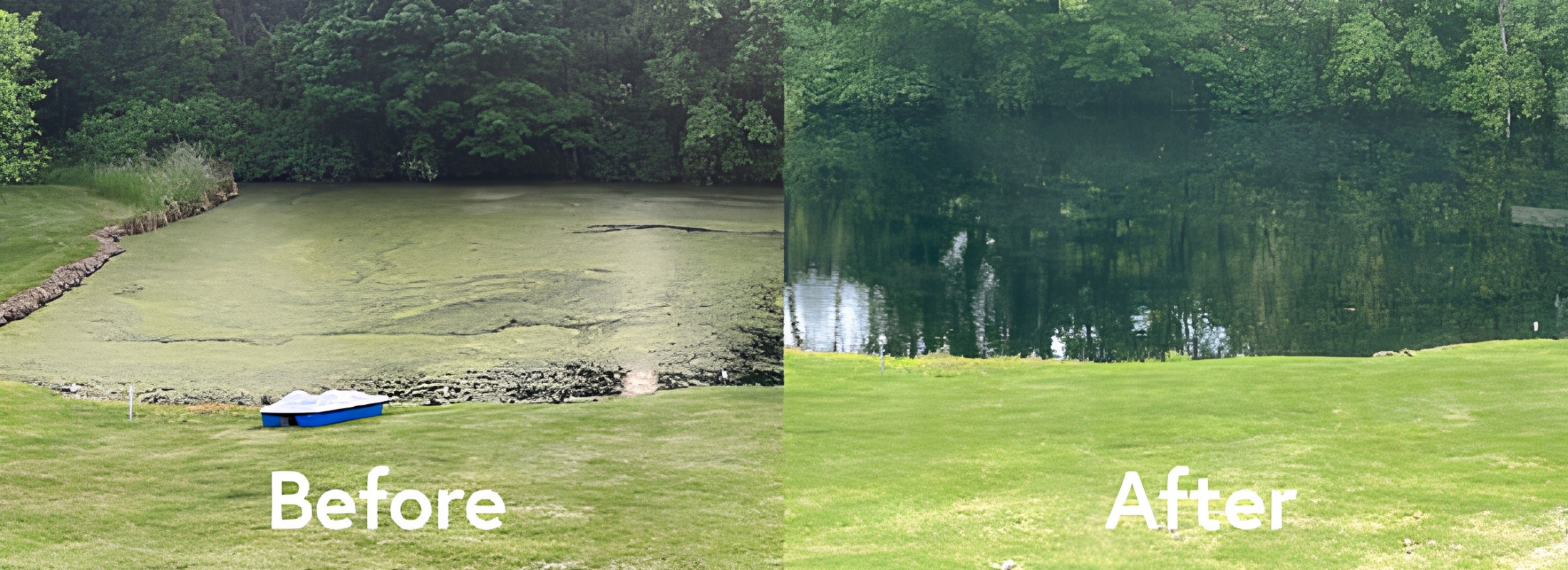 Scott Aerator Algae Shield