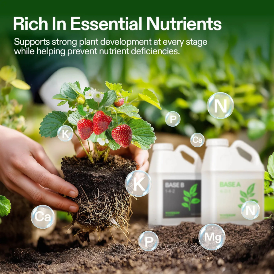 Vivosun Nutrients Base A & B Bundle, Liquid Fertilizer Supports Vegetative and Flowering Stage, 1 Gallon Each