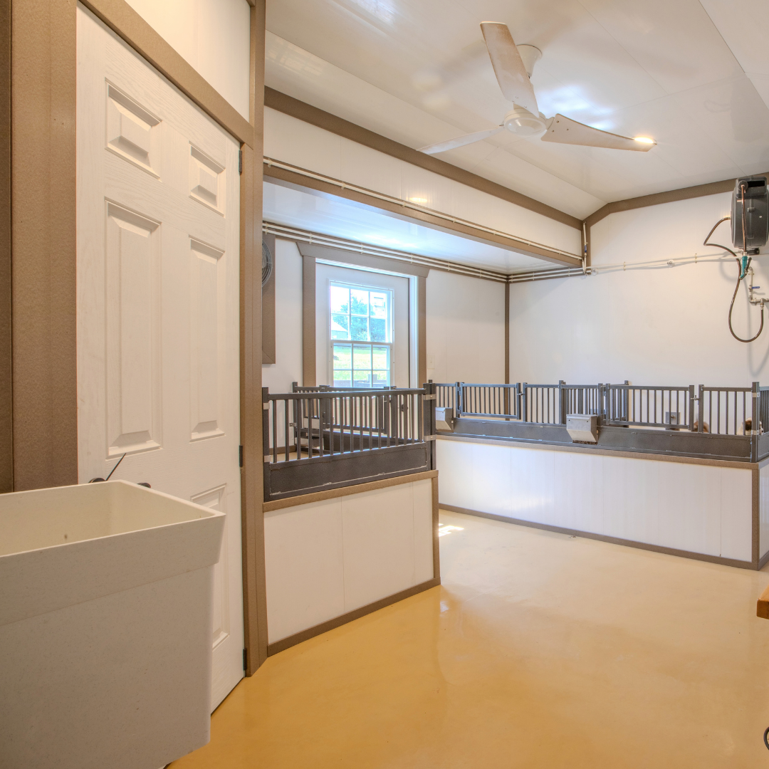 Bird in Hand 23×60 9-Run Dog Commercial Kennel With An Office