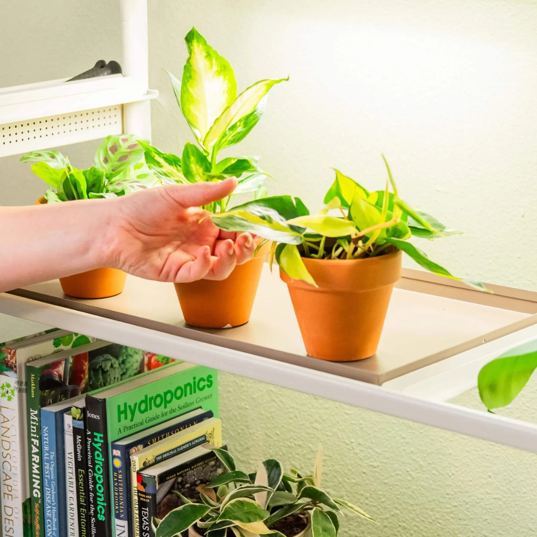 Vego Grow Light Garden 1020 Standard Tray - 2 Pack