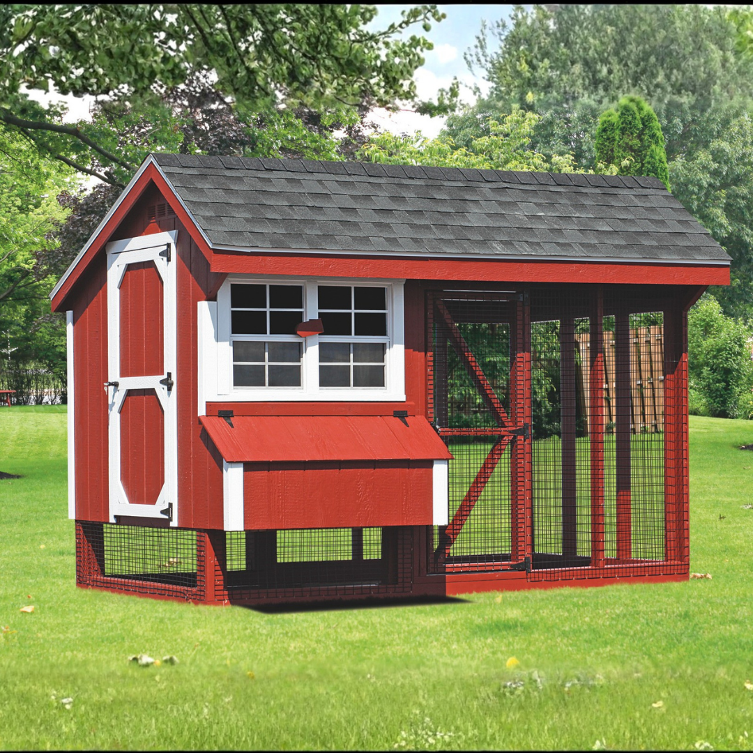 Bird-in-Hand 6×10 Quaker Combination Chicken Coop