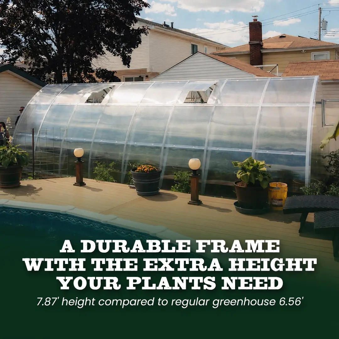 YourGreenhouses Inc Classic Arch Greenhouse