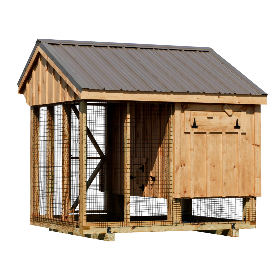 Bird-in-Hand 4×8 Quaker Combination Chicken Coop