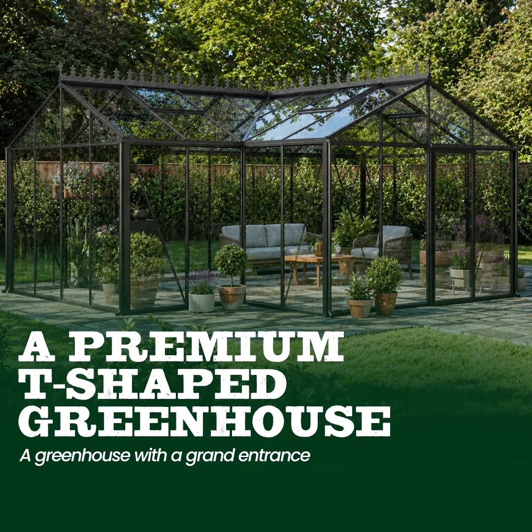 YourGreenhouses Scandiglas T-Shape Orangerie
