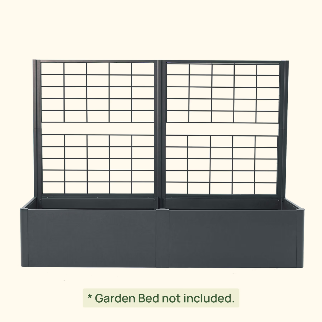 Vego Modern Pro Privacy Wall Trellis